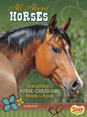 cover image of All About Horses